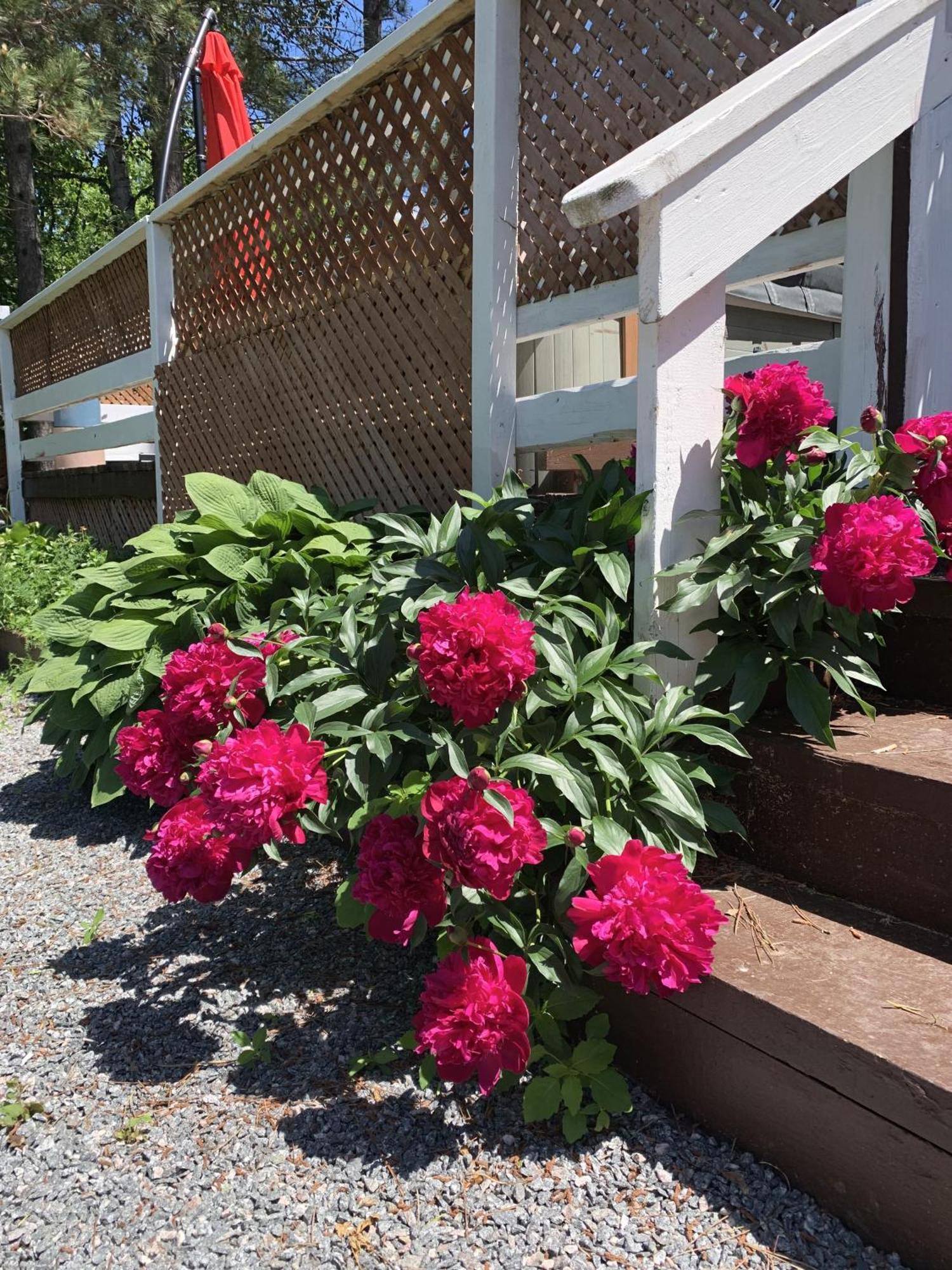 Auberge De Ferme-Neuve Lac-Saint-Paul エクステリア 写真