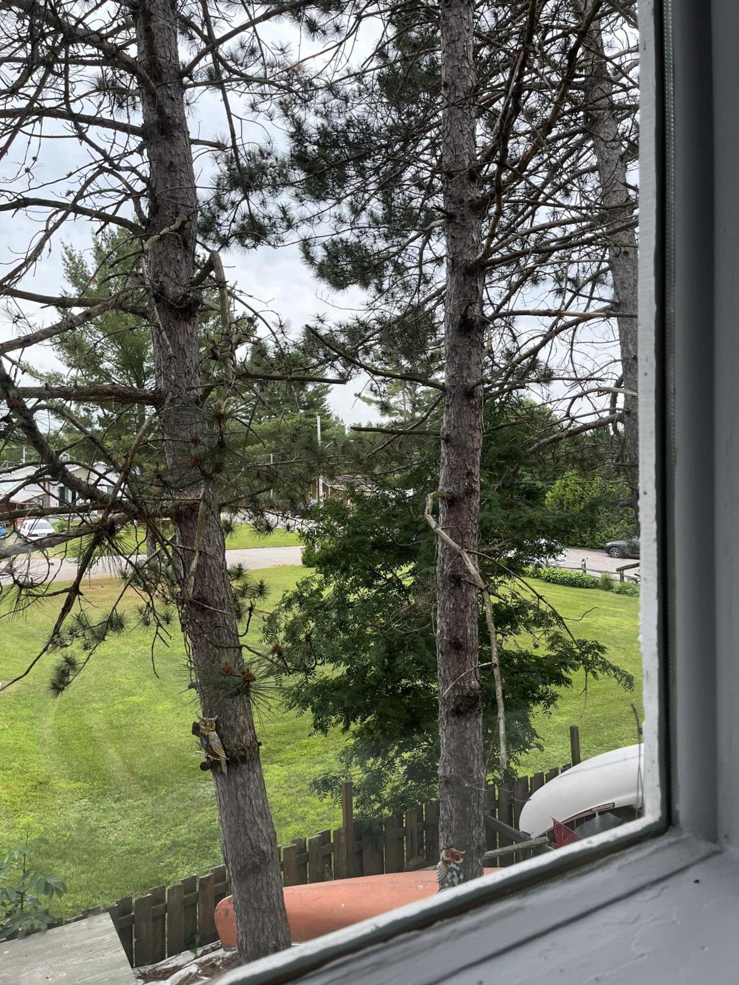 Auberge De Ferme-Neuve Lac-Saint-Paul エクステリア 写真